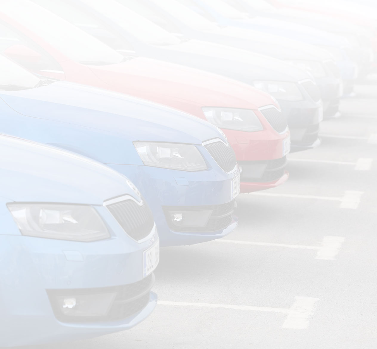 grafika w tle znn2 v2